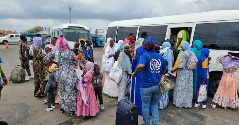 NEMA receives 153 stranded Nigerians from Chad