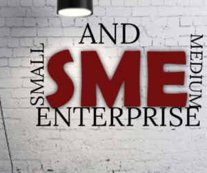 Targeted fiscal incentives will boost SMEs formalisation – Experts