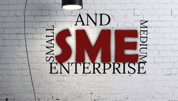 Targeted fiscal incentives will boost SMEs formalisation – Experts