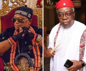Eze Akwiwu Appoints Iyke Okoroha Ogwuaga As Abba Royal Ambassador In U.S. – Independent Newspaper Nigeria