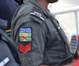 Three Suspected Kidnappers Nabbed As Police Foil Abduction In Bauchi