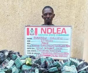 NDLEA Arrests Six Suspects Attempting To Smuggle Multiple Cocaine Consignments To UK