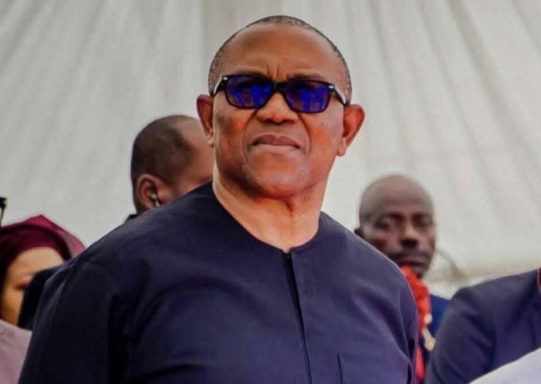 Peter Obi Calls For Action After Tinubu’s Minister Admits To Certificate Forgery