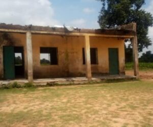 Civic Group Urges Katsina Governor To Tackle Decay Of Public Education