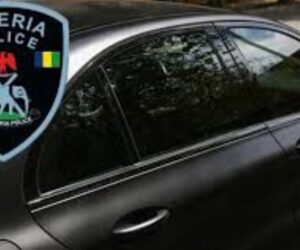 Nigeria Police Suspend Enforcement Of Vehicle Tinted Glass Permit Following Court Order