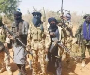 Bandits Kill Man, Abduct Mother, Injure Two Others In Kaduna Village Attack