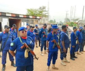 Kano NSCDC Arrests Three With Marijuana, Hands Them Over To NDLEA