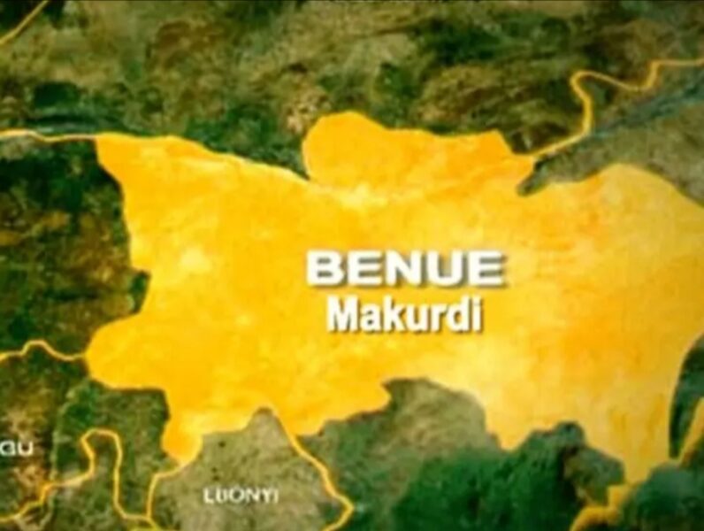 Pregnant Widow Expelled From Ugbema Community In Benue Over Alleged Shoplifting