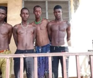 Kwara Vigilantes Arrest Four Suspected Bandits In Patigi LG