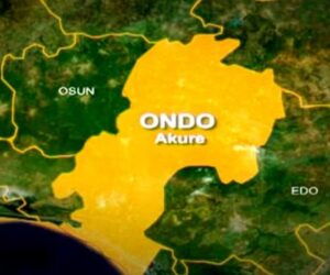 Ondo Police Arrest Two Brothers For Robbery, Recover Pistol