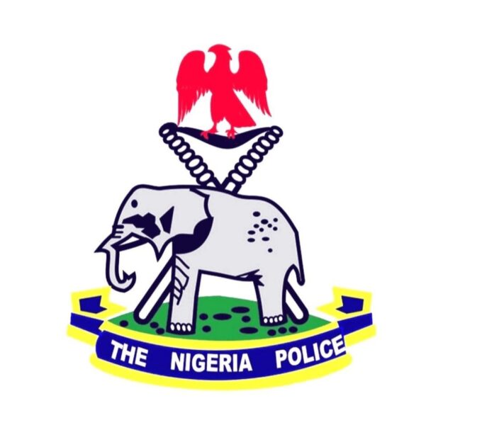 Kano Police Arrest Nine Notorious Robbery Gang Members, Recover Weapons, Stolen Items