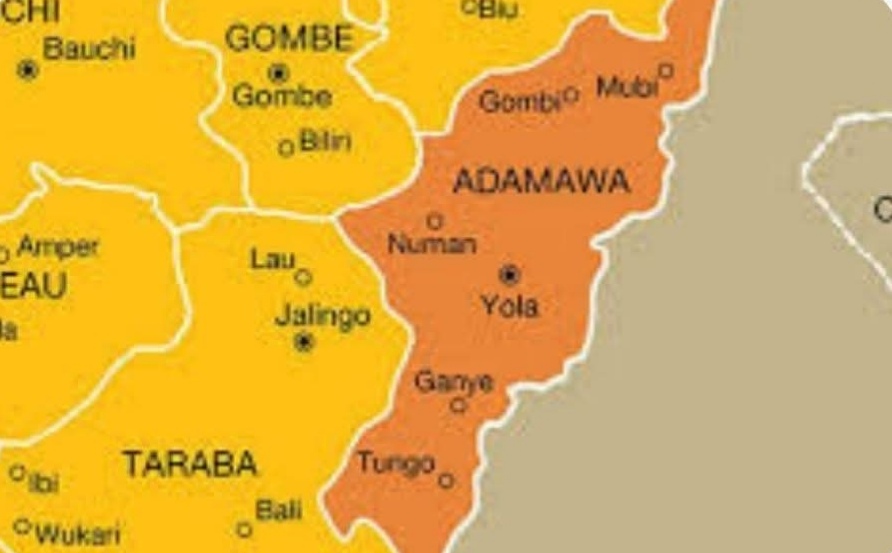 20-Year-Old Herder Missing As Gunmen Kill 33 Cattle In Adamawa Attack