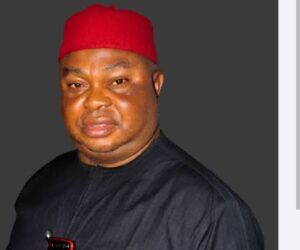 Ogbonna Threatens To Arrest Organizers Of Igbo Heritage Day In Lagos