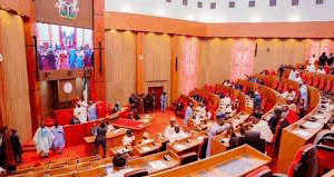 NCDC Gets Senate’s Approval For N140bn In 2025 Budget – Independent Newspaper Nigeria