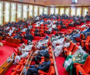 Christian Genocide: Senate Moves To Correct Global Misrepresentation Of Nigeria’s Security Crisis