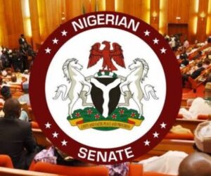 Senate to debate ‘systemic genocide’ claims against Christians in Nigeria – Daily Trust