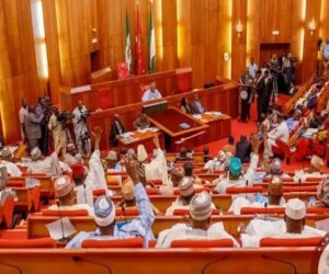 Senate constitutes 12-member ad hoc committee on alleged Christian genocide in Nigeria