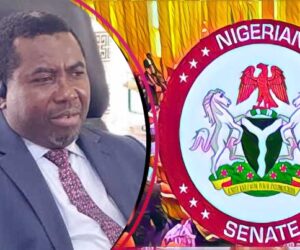 Senate Confirms Joash Amupitan As New INEC Chairman – Arise News