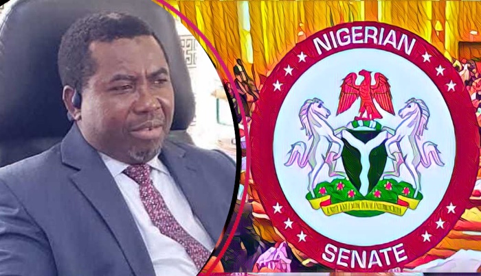 Senate Confirms Joash Amupitan As New INEC Chairman – Arise News