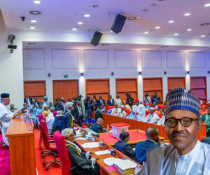 Drama In Senate As Akpabio Rules Akpoti-Uduaghan Out Of Order – Arise News
