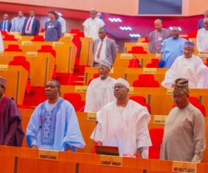 Senate to screen new service chiefs Wednesday