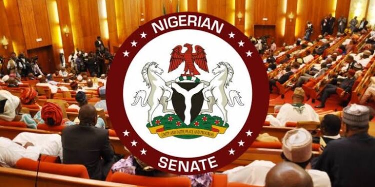 Senate to debate ‘systemic genocide’ claims against Christians in Nigeria – Daily Trust