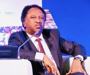 Regina Daniels vs Ned Nwoko: No perfect husband, wife – Shehu Sani