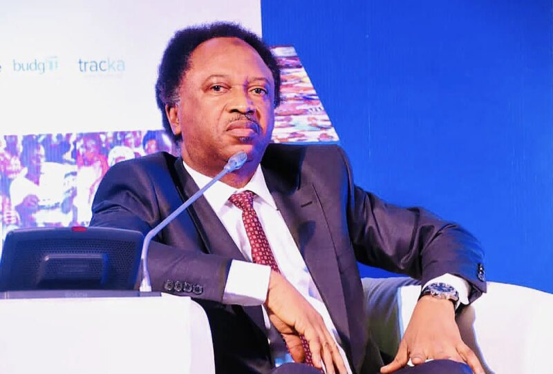 Regina Daniels vs Ned Nwoko: No perfect husband, wife – Shehu Sani