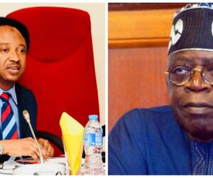 “If Tinubu Fails, I Don’t Think It Will Be Easy For Any Other President To Succeed” – Shehu Sani