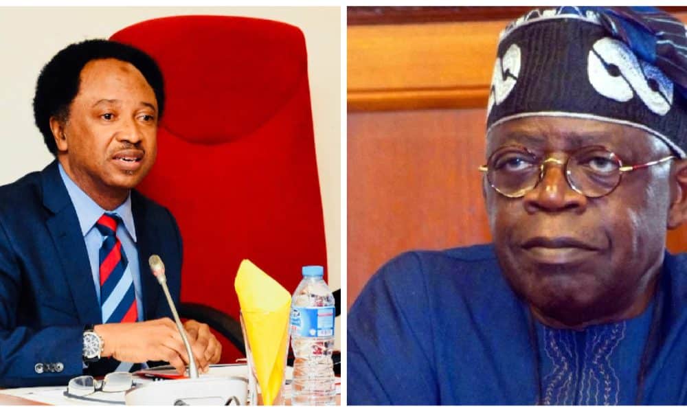“If Tinubu Fails, I Don’t Think It Will Be Easy For Any Other President To Succeed” – Shehu Sani