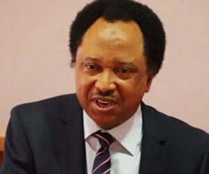 Beating Atiku in primaries will be harder – Shehu Sani