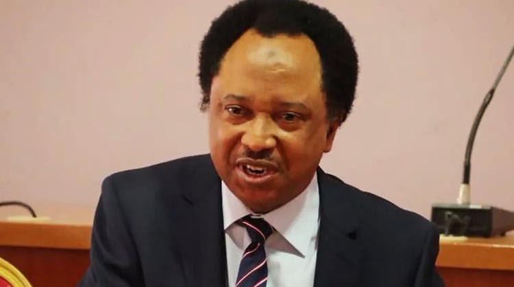 Beating Atiku in primaries will be harder – Shehu Sani