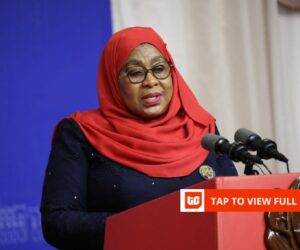 How Tanzania internet blackout halted Nala payments for 18 hours