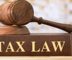 Tax Becomes A Burden When Weaponised, Expert Tells FG