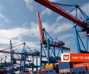 Cameroon’s REasy raises $1.8m to fix how Africa’s importers pay suppliers