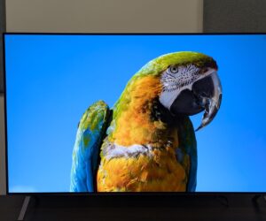 It’s my job to test TVs, and these 3 models are the best value for money on the market