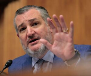 A Warning To Senator Ted Cruz