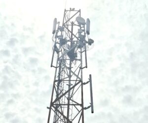 Telecom Operators Must Step Up as Fraud Threats Surge – Report | Tech | Business