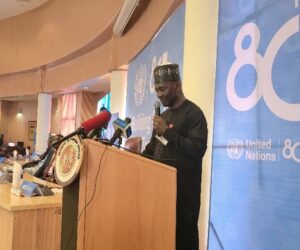 Nigeria Reiterates Support For Israel-Palestine Two-State Solution, Demands UN Reforms – Arise News