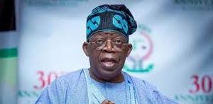 Don’t shield appointees in certificate row, CSO tells Tinubu 