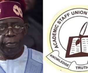 FG responds to ASUU, expands negotiation team