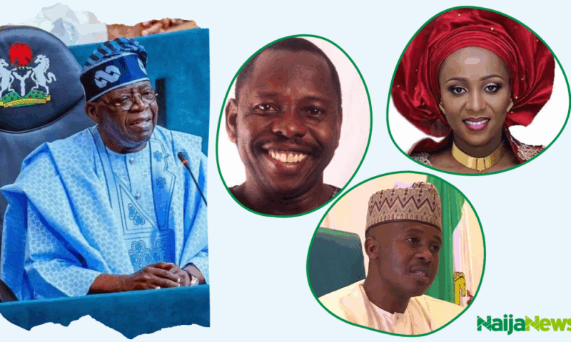 Drug Dealers, Illegal Miners, Homicide Convicts: A Statistical Breakdown Of Nigerians Pardoned By President Tinubu