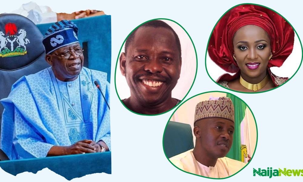 Drug Dealers, Illegal Miners, Homicide Convicts: A Statistical Breakdown Of Nigerians Pardoned By President Tinubu