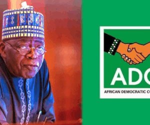 Nnaji: Tinubu Willing To Let Corrupt Officials Off The Hook Easily – ADC