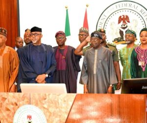 Tinubu launches NIMC digital, mobile-based identity authentication app