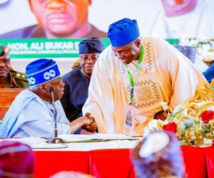 I’m now Tinubu’s son, APC national chairman declares at mother’s funeral