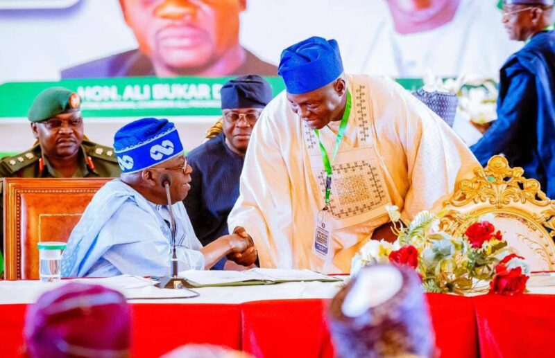 I’m now Tinubu’s son, APC national chairman declares at mother’s funeral