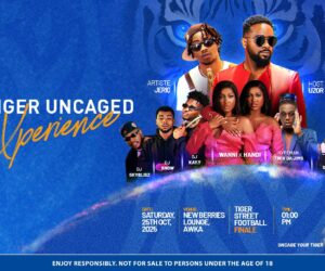 Uzor Arukwe, Jeriq, Wanni x Handi To Bring Their Energy To Tiger Street Football Tournament Finale In Awka