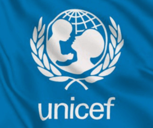 UNICEF, Adamawa LG partner to boost immunisation, hygiene awareness
