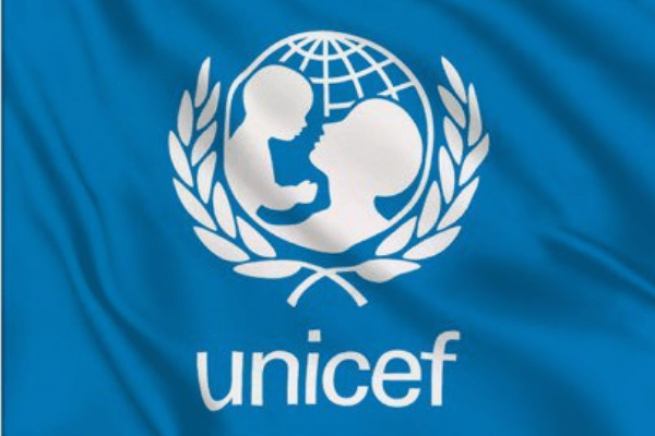 UNICEF, Adamawa LG partner to boost immunisation, hygiene awareness